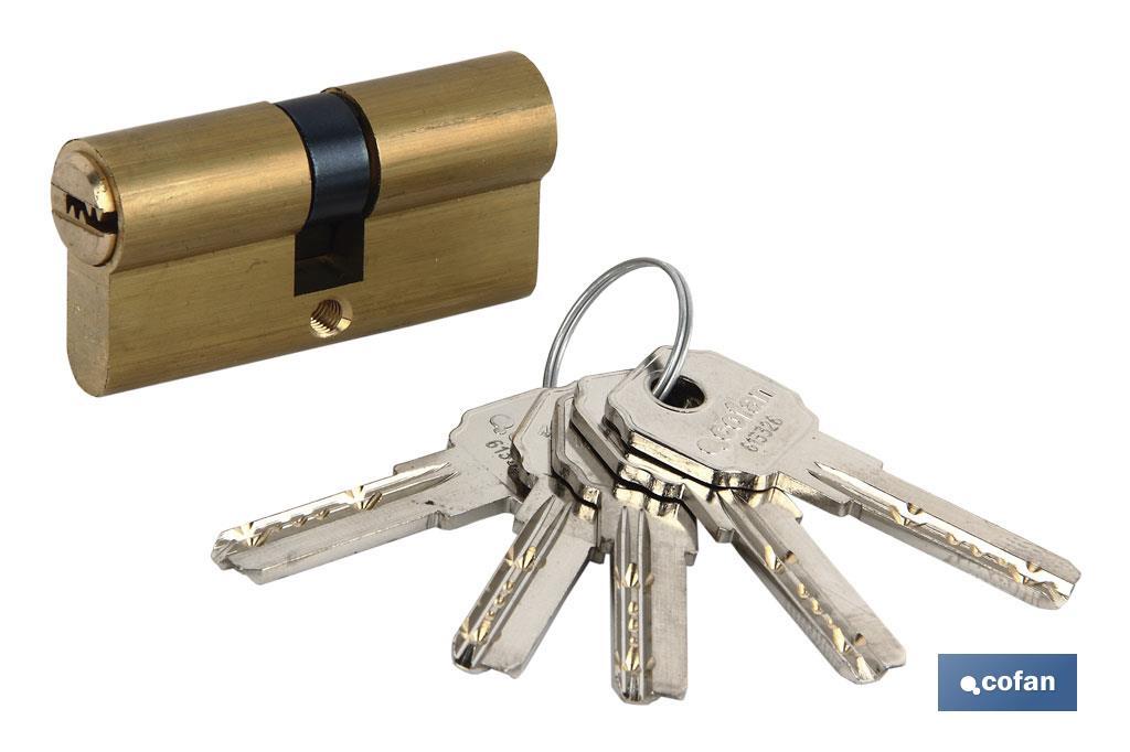 CILINDRO DE SEGURIDAD DE NÍQUEL PARA LLAVE NORMAL 35/35 - LEVA LARGA IGUALADOS AAA (PACK: 1 UDS) CILINDRO DE SEGURIDAD DE NÍQUEL PARA LLAVE NORMAL 35/35 - LEVA LARGA IGUALADOS AAA (PACK: 1 UDS)