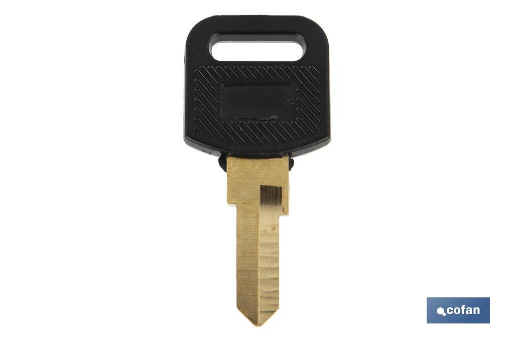 LLAVE EN BRUTO PARA BUZON (PACK: 10 UDS) LLAVE EN BRUTO PARA BUZON (PACK: 10 UDS)